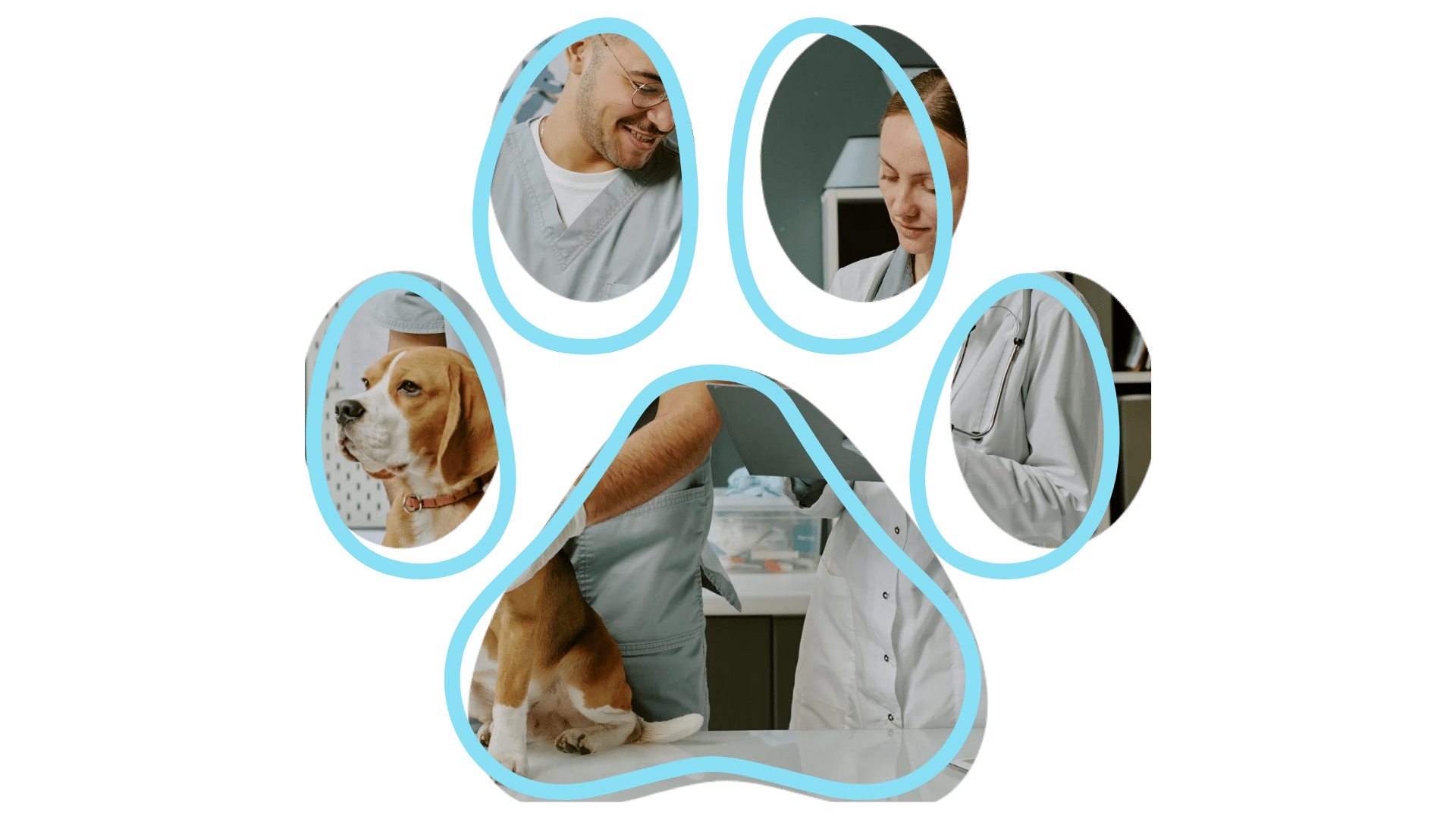 Vet near me Chesapeake VA caring for dogs during checkup at MyVet
