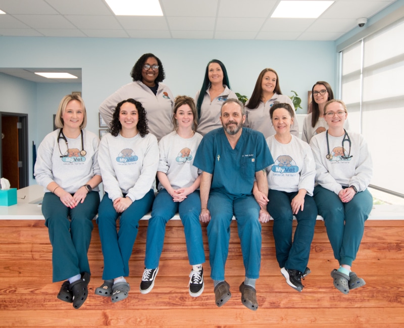 MyVet - Team group photo (2)