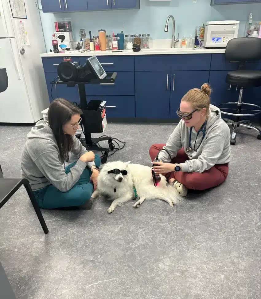 lasertherapy1