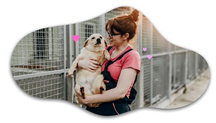 Person adopting a shelter dog near MyVet