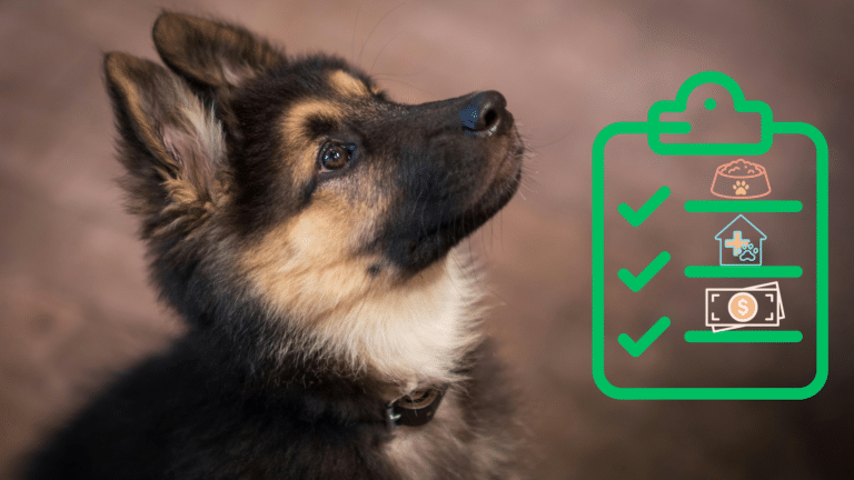 New puppy beside a care checklist for pet owners preparing for veterinary care with MyVet in Chesapeake, VA