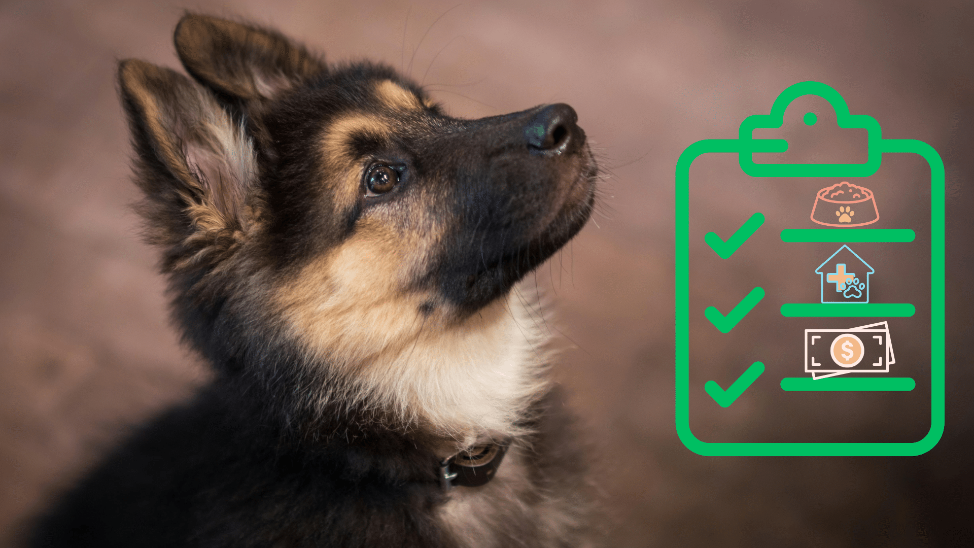 New puppy beside a care checklist for pet owners preparing for veterinary care with MyVet in Chesapeake, VA